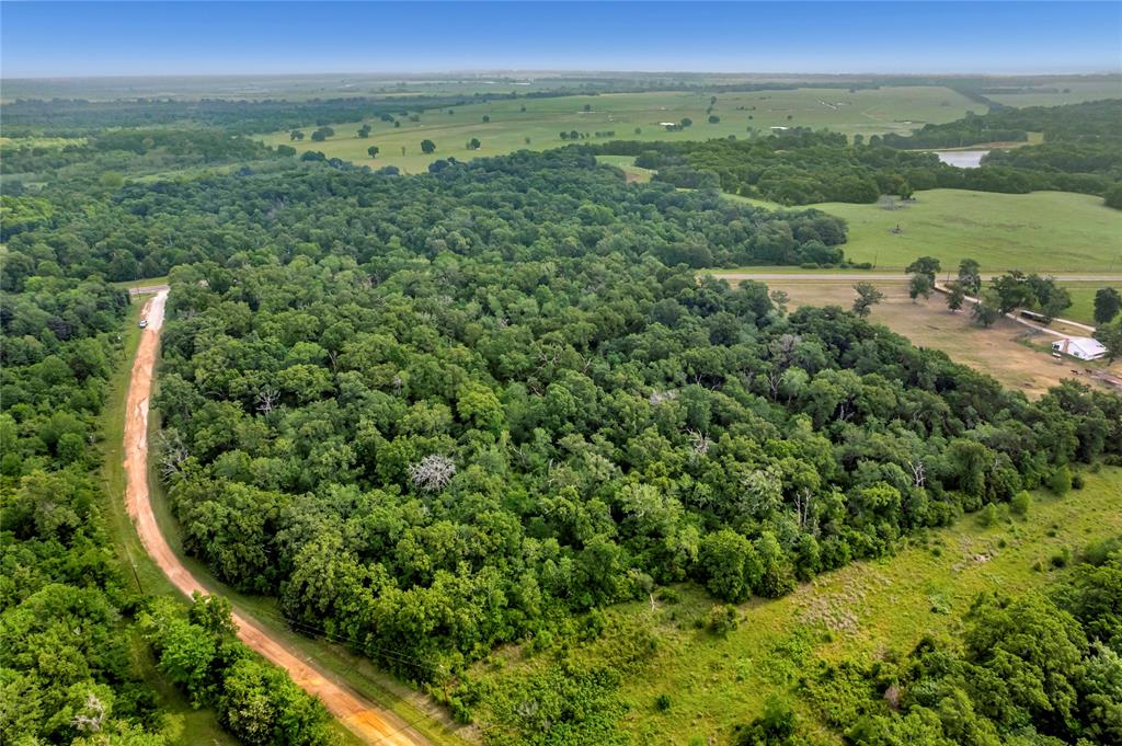 542 Fm-542 Centerville, Texas Discover the perfect blend of peace, privacy, and opportunity with this beautiful 12.4-acre property located just outside Centerville, TX in sought-after Leon County. This piece of land offers endless possibilities — whether you're dreaming of building a custom home, creating a weekend retreat, or investing in your own slice of Texas countryside.With easy access to Highway 75 and I-45, you're perfectly situated between Dallas and Houston, making it an ideal escape without being too far from city conveniences.
No restrictions, electricity available at the road, and plenty of space for livestock, gardening or simply enjoying the great outdoors. Whether you're looking for recreation, residential use, or future development, this 12.4-acre tract is ready to meet your vision.
Don't miss out on this rare opportunity to own a piece of Texas land!
