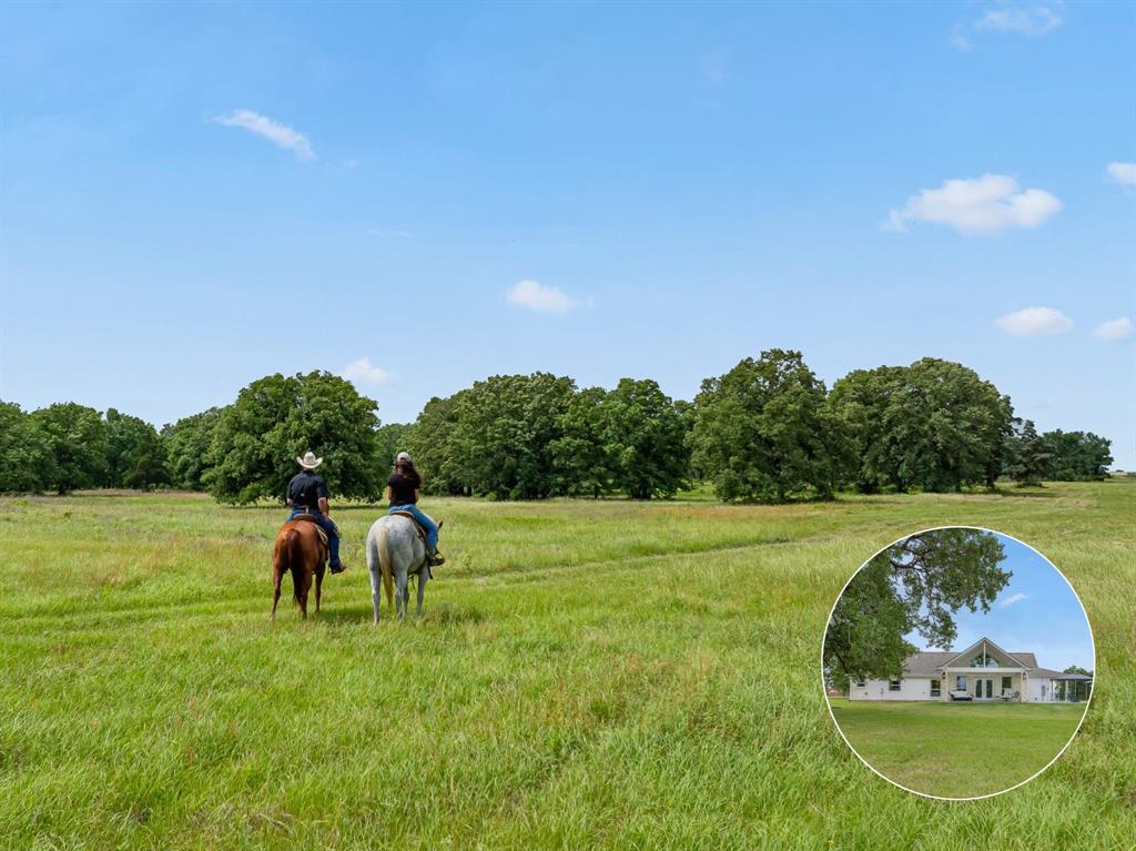 13187 Wildflower Ln Iola, Texas This ag-exempt 60-acre property, managed under organic practices, offers a blend of rural charm and modern convenience just 25 minutes from South College Station and 5 miles from Iola. The remodeled home (2023) features 3 bedrooms, 2 bathrooms, an open floor plan, and hardwood, concrete, and tile flooring. The kitchen includes quartz countertops, a gas range, and stainless-steel appliances. The primary suite offers a walk-in closet, soaking tub, separate shower, and dual vanities. Enjoy outdoor living on covered porches. A detached 2-car garage adds utility, and a 84x40 barn/shop includes 2 bays with 14' roll-up doors, 20x40 overhangs, kitchen, full bath, loft, A/C, washer/dryer connections, and RV hookups, ideal for projects or events. The land includes a stocked pond with a pier, mature trees, and perimeter and cross-fencing, ready for livestock or recreation. A unique opportunity to own improved acreage in a fast-growing area.
