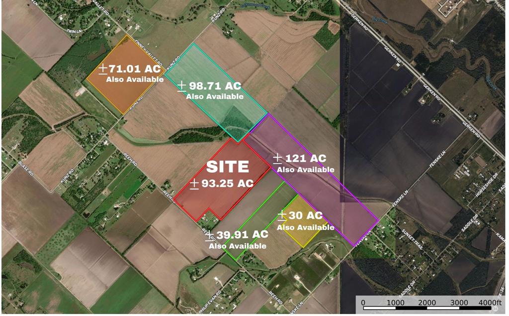 Invest in the future with this prime development investment opportunity in Fort Bend County and zoned to Needville and Lamar ISD! These two parcels together are 93.25 acres and have almost 1,000 feet of frontage on Reeh Rd, and are less than a mile from Spur 10/Gerken Road! This tract is currently Ag Exempt according to the Fort Bend County CAD and it appears to be completely out of the flood hazard area according to current FEMA flood maps. Its strategic location and proximity to major roadways such as Spur 10, Hwy 36 and Interstate 69/Hwy 59 (all within approximately 5 miles) make this property ideal for residential or commercial development. Don't miss out on this incredible opportunity to secure your foothold in this high-growth potential area. Contact us now to explore the possibilities and turn your visionary dreams into a reality!