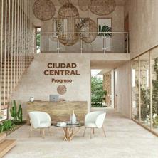 42 Rincon Paraiso, Progresso