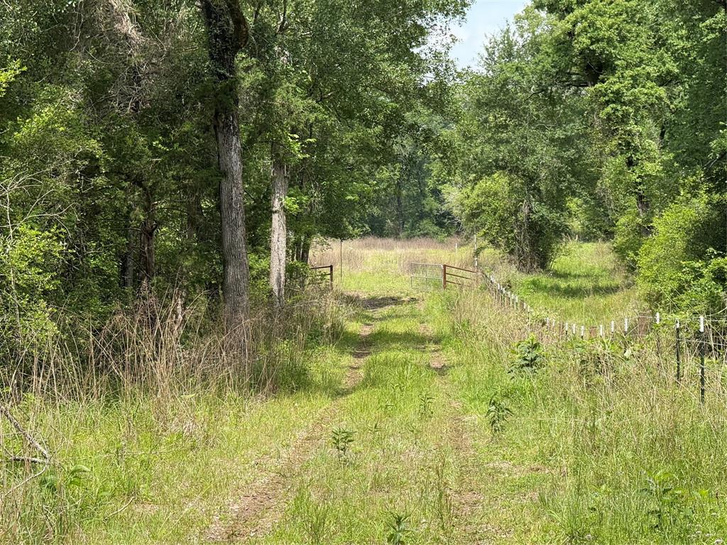 Approximate 40 Acres, stunning wooded property with a pond and built-up future Home site.