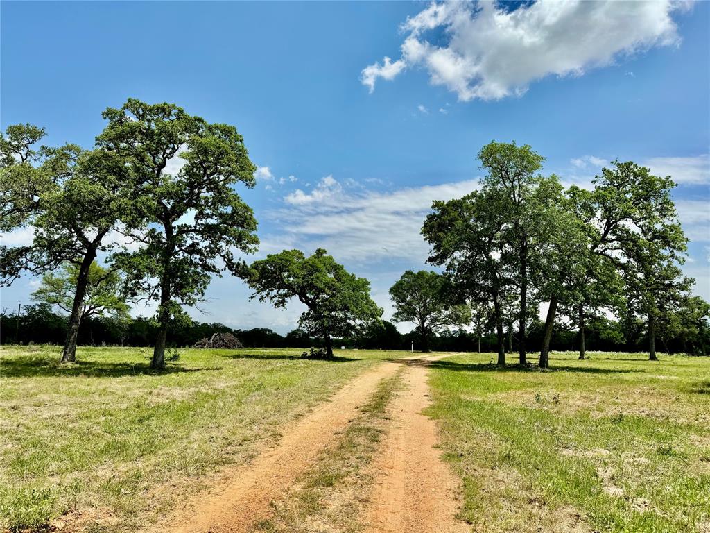 Discover the perfect blend of natural beauty and serene privacy on this stunning 32-acre property nestled along the peaceful waters of Clarks Creek. Towering oak trees create a picturesque canopy, offering shade and character throughout the land. Whether you’re looking to build your dream home, establish a private retreat, or invest in future development, this property provides endless potential. Enjoy creek frontage, abundant wildlife, and a landscape that’s as peaceful as it is inspiring.

Located in sought after Ezzell Independent School District.