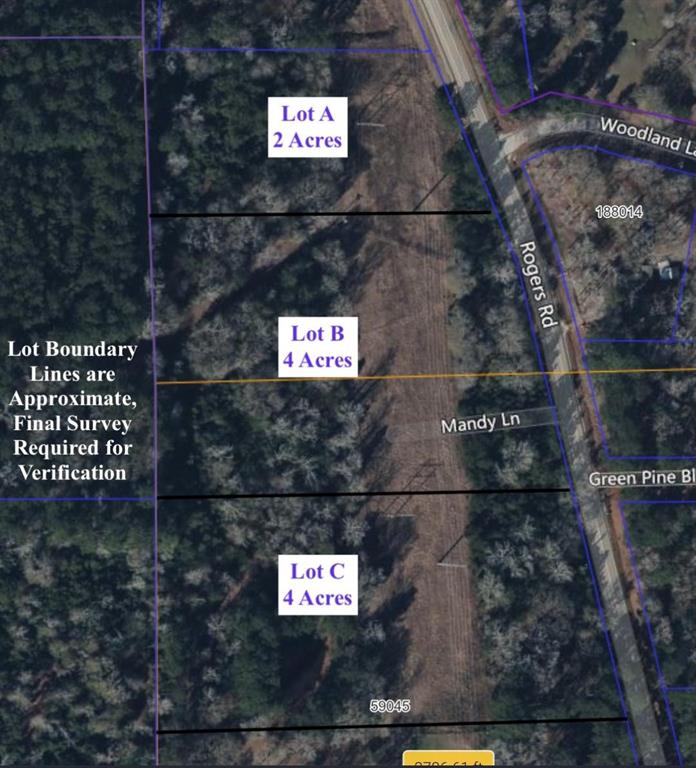 Located 15 minutes from IH 45 and the major town of Willis, your ranchette estate on Rogers Road awaits you. Featuring four acres with cleared pastureland for livestock to graze, trees for private selection - a blank canvas awaits your barn dominium dream! Lot B of this 10 acre tract is surrounded by established homes and newly constructed barn dominiums. The best part of this lot is the ability to create and capture your homesite! There are two additional lots available for purchase if desired. The road side frontage contains a thoughtfully selected tree privacy screen for an added layer of comfort. Buyer will have the option to even place your driveway where you want! This land is high and dry and does not flood. Come enjoy the country setting and bring your thoughts and ideas for planning.