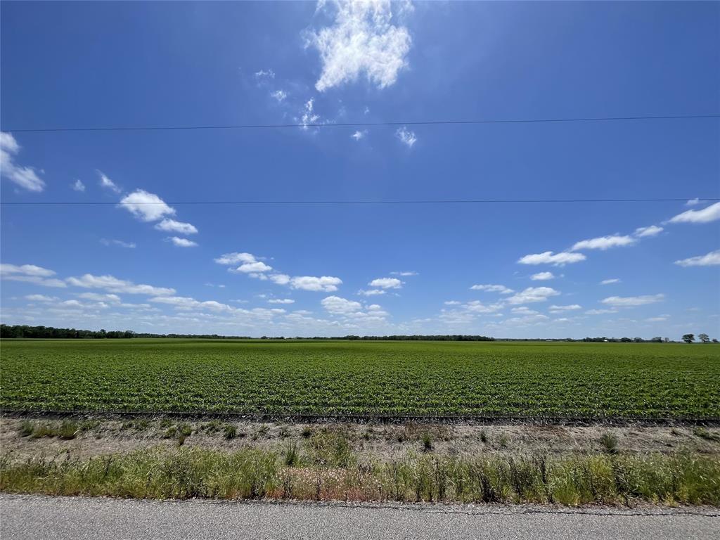 Schultz Road Damon, Texas Approximately 63.2 Acres of Country Living in Damon, TX
Two adjoining tracts—33.2 acres and 30 acres—are being offered together for a total of approximately 63.2 acres. This expansive property is ideal for a small ranchette, continued agricultural use, or future residential development. Currently used as farmland and cleared for grass, it offers wide open space under clear blue skies—country living at its finest. A great opportunity for buyers seeking peace, privacy, and potential in growing Damon, Texas.