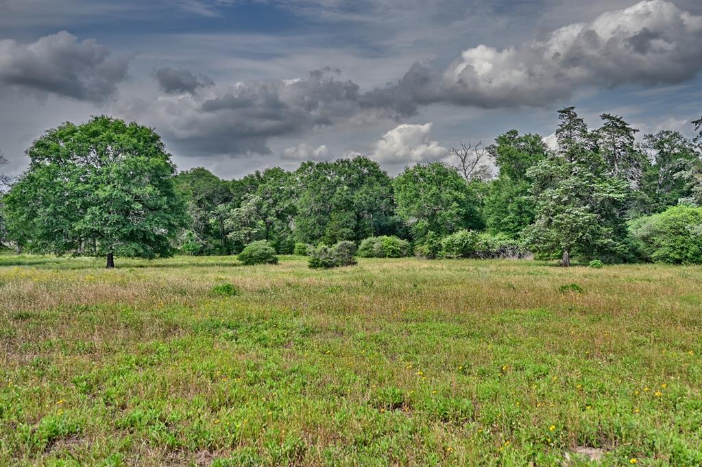 Tranquil 29.95-Acre Retreat in Cat Spring, TX – Unrestricted & Ready to Build!

Nestled at the end of a quiet dead-end road in the desirable Cat Spring area and surrounded by an 1,100 acre family recreational ranch, this 29.95-acre property offers the perfect blend of privacy, natural beauty, and versatility. Approximately 75% wooded and 25% open pasture, the land provides an ideal setting for recreation, wildlife watching, or building your dream home. Cat Spring is less than an hour to Houston's rapidly growing Energy Corridor, and thirty minutes to the world renowned town of Round Top.

Enjoy fishing, explore trails through the woods, or relax while taking in the scenic 40-foot elevation change across the property. Water well and electricity in place. With no restrictions, the possibilities are endless.

Don’t miss this rare opportunity to own a piece of the peaceful Texas countryside, a short distance to Houston and Round Top amenities, with room to roam and space to breathe.