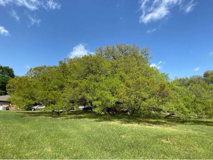1819 Y U Jones Road Richmond, Texas Nestled in the serene heart of Thompson, this fully renovated dream home offers a perfect blend of nature and modern comfort, making it an ideal home or a great investment. Set on a generous 1.8-acre lot with no restrictions, the property boasts four bedrooms and three full bathrooms, providing ample space for family and guests. Already generating income from current lease of the house and 5 spots RV Park (4 rented), this residence not only offers a serene retreat surrounded by lush landscapes but also promises a lucrative return. Its strategic location and impeccable upgrades make it a rare find where relaxation meets profitability. See details income in agent remark