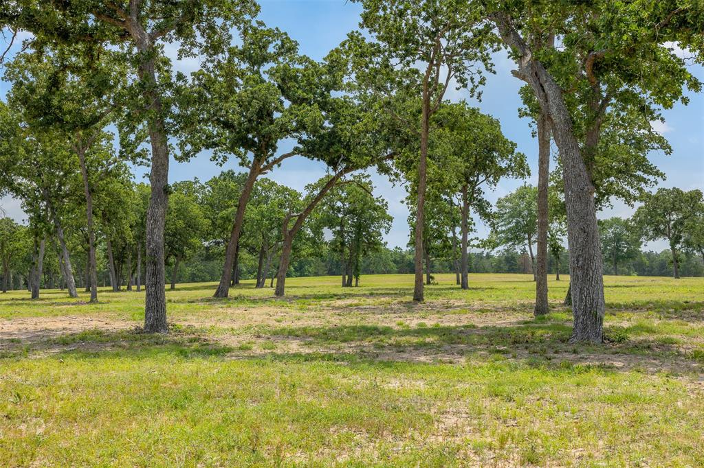 Twenty-five unrestricted acres in desirable New Ulm are available to make your own. This tract has mature trees and improved pastures with a shallow pond that can be enlarged and reworked. The Vine Wedding Venue and Tasting Room are within walking distance - approximately a short 1 mile away - making for a valuable investment opportunity. Use these 25 acres to build a full-time residence, a part-time retreat, with the option to rent out when not using, or a true investment with several casitas for rental. With perimeter fencing and electricity on site, the property is ready for your next step.