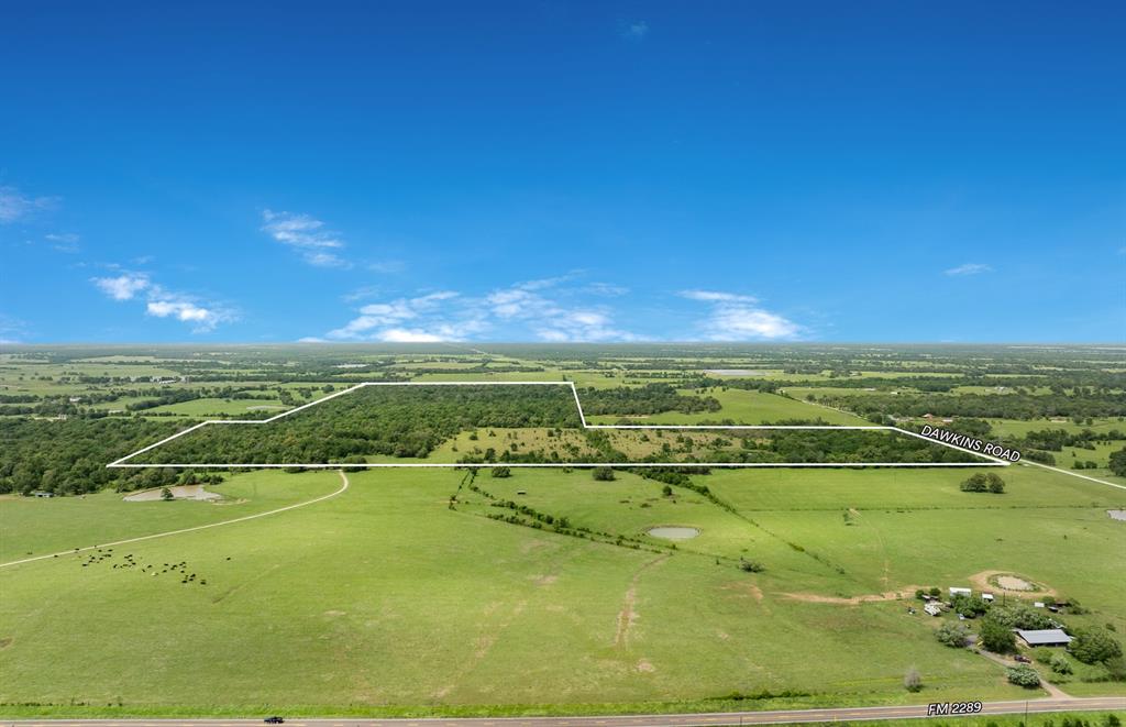 Caney Creek Ranch is a 200+/- acre property in Madison County, Texas, offering a combination of seclusion, natural features, and recreational value. The land is heavily wooded with a mix of hardwoods and native brush, making it well-suited for hunting and outdoor activities. Several large ponds and the year-round flow of Caney Creek enhance the water resources and support native wildlife. Electricity is nearby allowing many various locations for potential homesites.