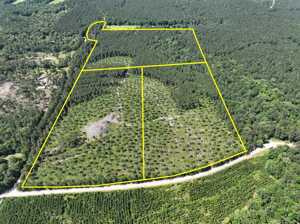 1st time open market offering for these new rural tracts ! Quiet, low traffic area and public county road frontage on Westville Rd. and/or Groveton Flat Prairie Rd. Gently rolling/sloping topography over loamy type soils. High and Dry ! Managed, thinned, pine trees with hardwoods mixed in the creek drains. Some areas more open than others. Electricity along Westville Rd. until SE corner of T-38. No pipelines or well sites known.
5% Earnest Money - All offers are subject to seller’s Investment Committee approval and seller’s Agreement of Sale