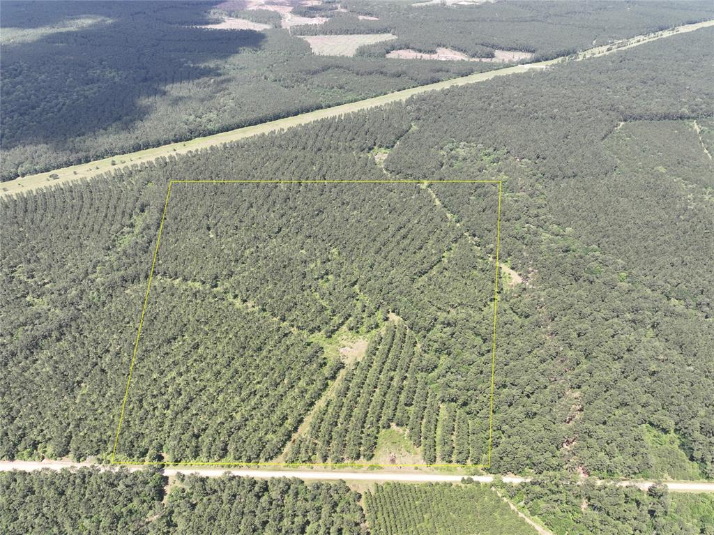1st time open market offering ! Great access/ frontage on private Easement Road from SH 94. Gently sloping topography over loamy type soils. High and Dry ! Managed, thinned, mid age, pine trees with hardwoods mixed in the creek drains. Electricity N/A or by extension. Go Solar !
Private, secluded. Unrestricted (subject to title). Ground photos may not be tract specific.
5% Earnest Money - All offers are subject to seller’s Investment Committee approval and seller’s Agreement of Sale