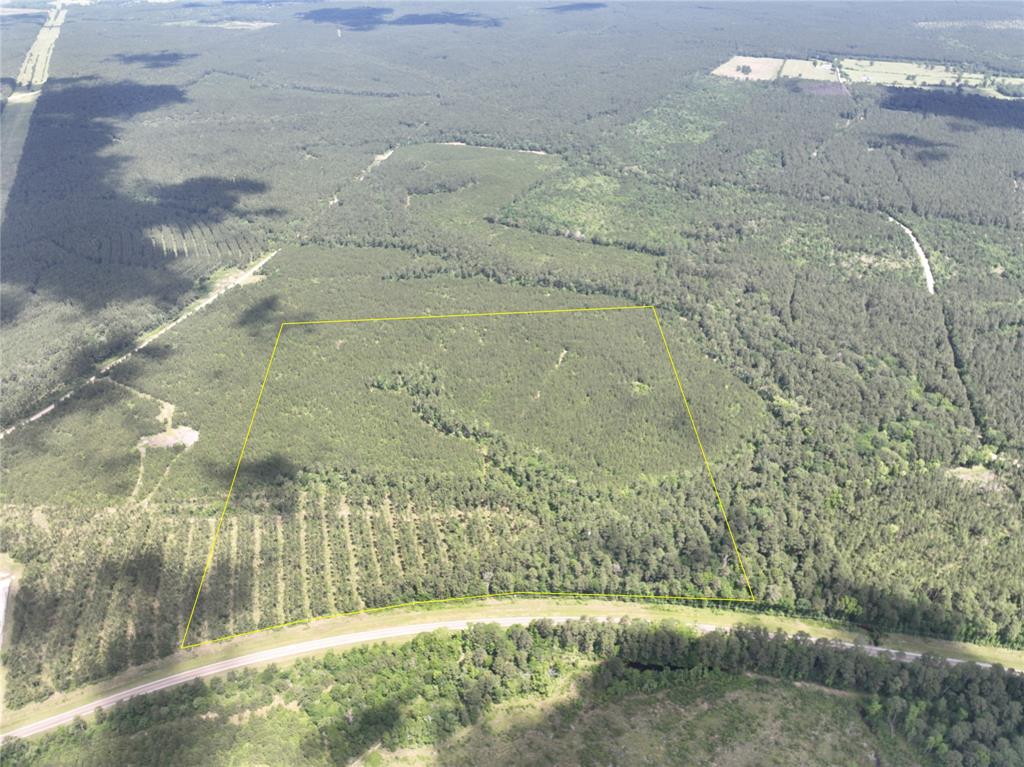 1st time open market offering ! Great access and frontage on State Highway 94. Gently sloping topography over loamy type soils. High and Dry ! Managed, thinned, pine trees of varying ages, with hardwoods mixed in the creek drains. Excellent shape ! Electricity along SH 94.
5% Earnest Money - All offers are subject to seller’s Investment Committee approval and seller’s Agreement of Sale