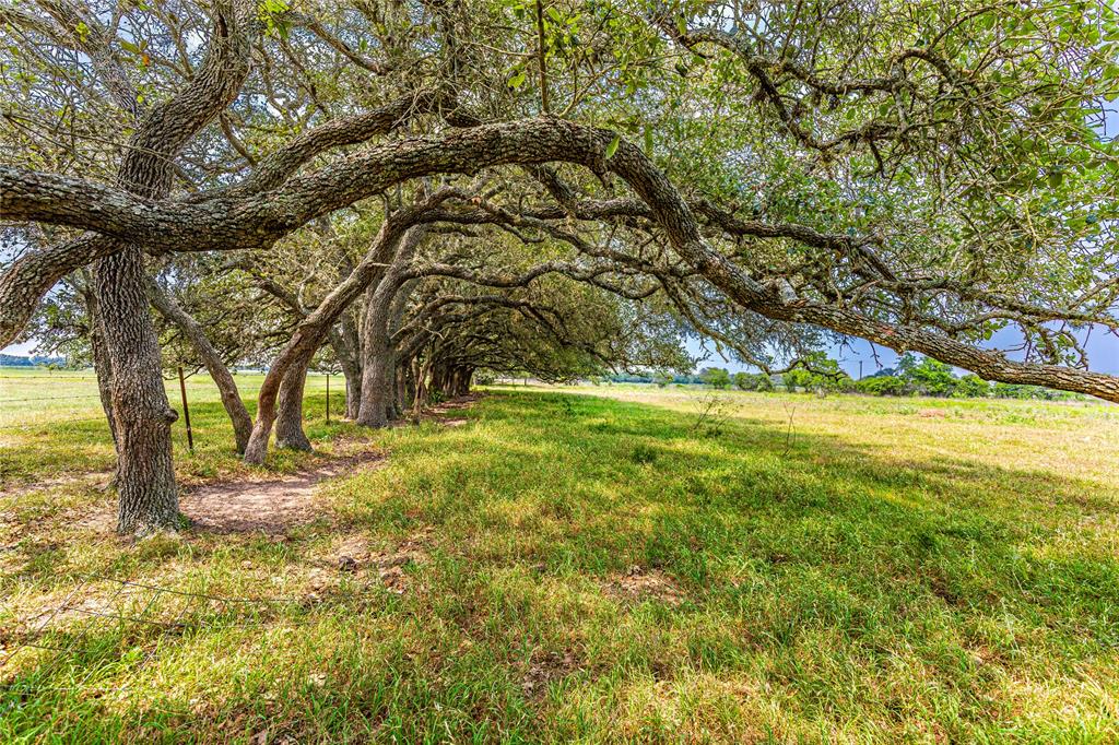 2948 County Road 106 Columbus, Texas Recreational & income-producing 144-acre tract just off Hwy 90 in Rock Island near Columbus, TX. Property features two duck ponds supported by a 200 GPM water well—perfect for waterfowl hunting—plus excellent deer and hog hunting. Scattered tree clusters offer natural cover and visual appeal across mostly open terrain. Income is generated through a rice production lease, and cattle are currently run on the property, qualifying it for an ag exemption. Ideal for hunters, investors, or weekend retreats. Convenient access to Hwy 90 yet private enough for peace and seclusion. Wide-open views and multiple potential homesites. Just 15 minutes from Splashway Waterpark in Sheridan, TX. Rare opportunity to own land that offers recreation, income, and long-term potential in a highly desirable area. Call today for your private showing of this one of a kind property.
