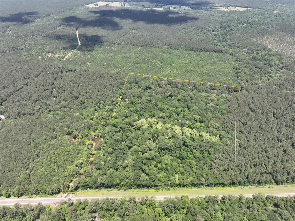 1st time open market offering ! Great access and frontage on State Highway 94. Gently sloping topography over loamy type soils. High and Dry ! Managed, thinned, pine trees of varying ages, with hardwoods mixed in the creek drains. Excellent shape ! Electricity along SH 94.
5% Earnest Money - All offers are subject to seller’s Investment Committee approval and seller’s Agreement of Sale