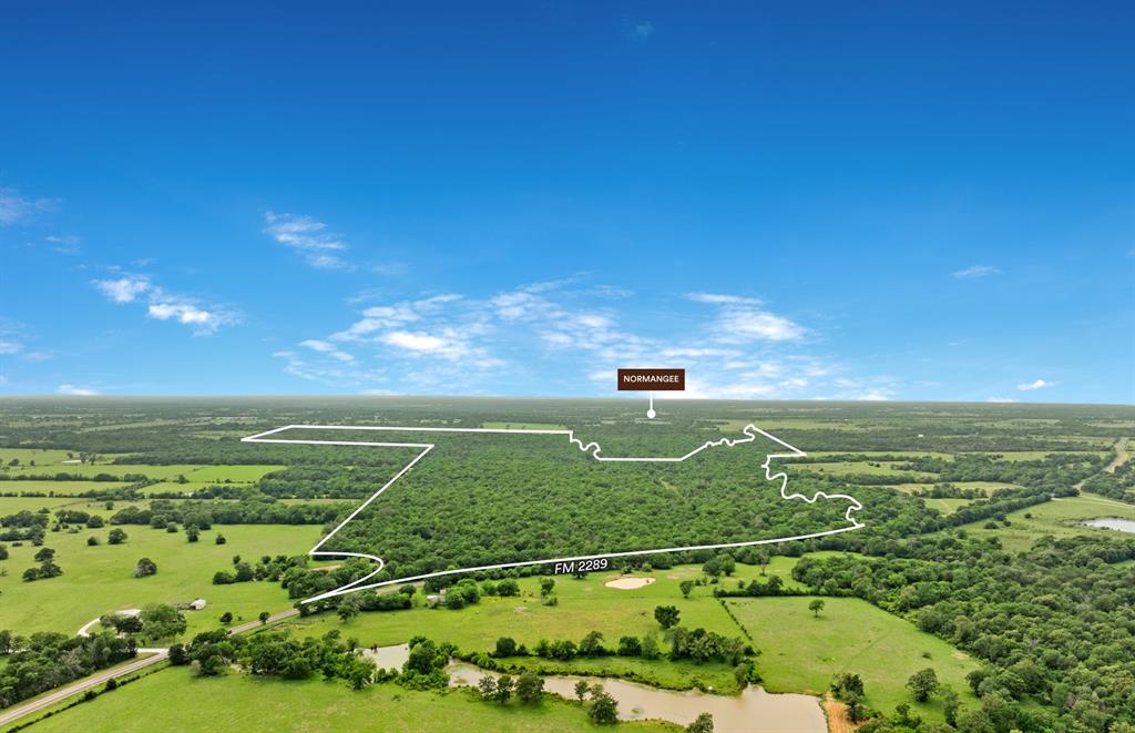 Located just east of Normangee, this property offers the best of both worlds - quiet rural living with easy access to nearby communities. The property includes live water from Caney Creek and several potential lake sites, offering a versatile landscape for various uses. With paved frontage on FM 2289, it provides easy access while maintaining a sense of privacy. The land is largely undeveloped and supports abundant native wildlife, making it well-suited for hunting, fishing, or building a private ranch retreat.