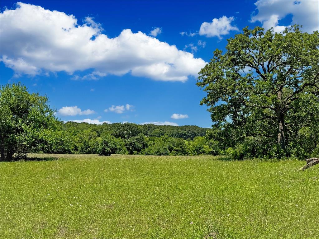 Absolutely stunning 50-Acre tract in Southern Grimes County! Escape to the beauty of nature with this breathtaking 50-acre property featuring gently rolling hills, scattered mature hardwoods, and two stocked ponds. Just 45 minutes to The Woodlands and Tomball, and only 25 minutes from College Station, this tract offers the rare combination of natural beauty, privacy, and convenience. Whether you're looking for a peaceful country homesite with scenic views, a weekend retreat, or investment tract, this property checks all the boxes. MidSouth power and fiber internet available on-site.