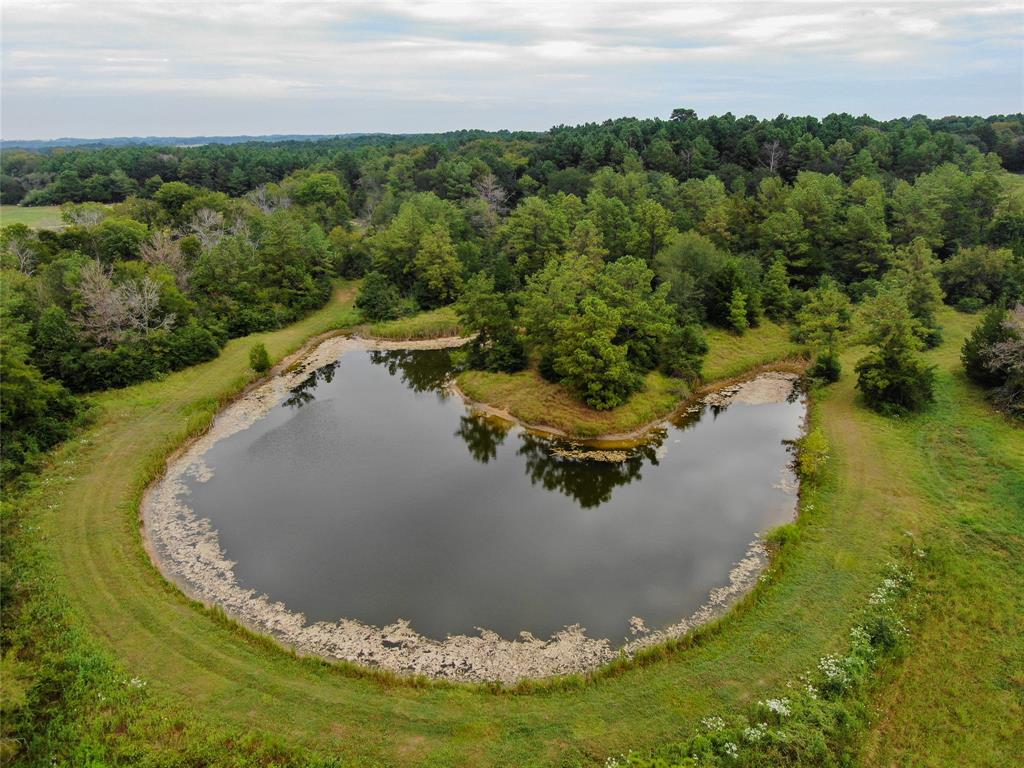 At 86.95 acres, Tract 5B is the southernmost tract of Whitehall Ranch Estates. The tract starts as you cross a spring-fed creek. Across the creek, the grade again begins to climb in elevation. Immediately, an immaculate view unfolds, the land gently drifting down towards the lower reaches of the pasture, which is guided by spring-fed drainages and creeks. The property line visible the undeveloped adjacent tract majestically rising again, establishing a view that extends thousands of yards devoid of anything but pastures and trees. We now pass through into the easternmost section of the ranch, looping around the horseshoe pond, named for its shape; it serves both wildlife and livestock and has bass waiting to be caught. The lake exudes a sense of tranquility with a buffer of trees and landscape in every direction.