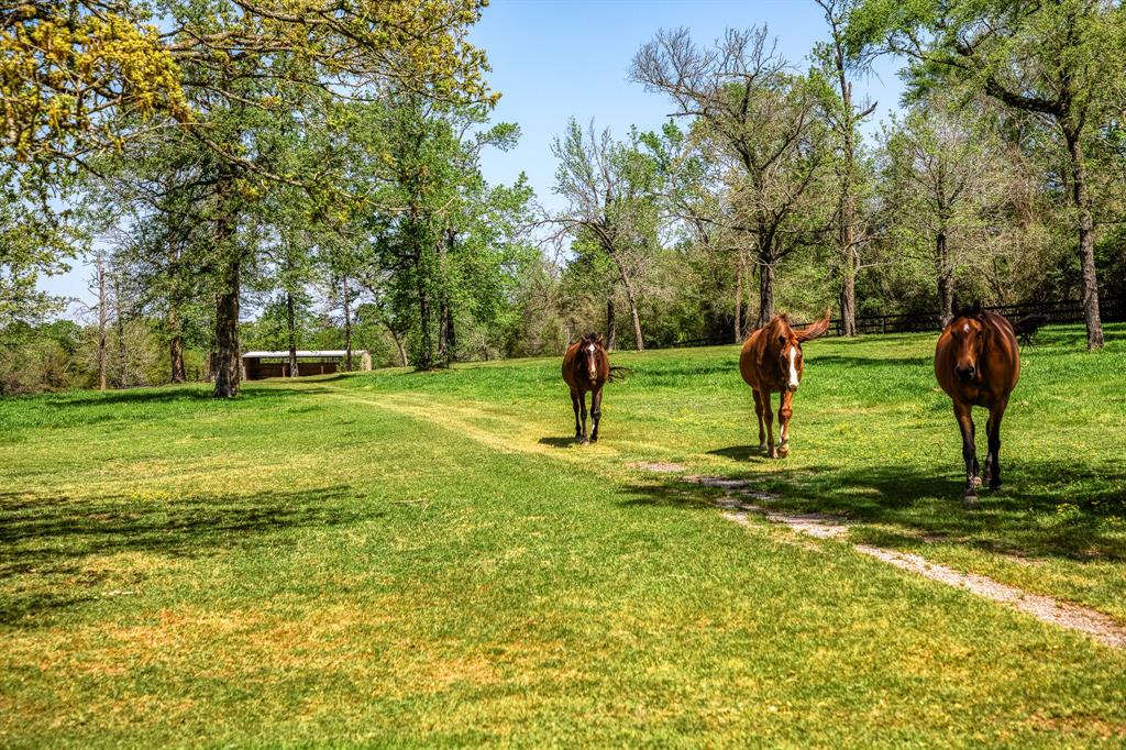 Welcome to an extraordinary equestrian estate comprising 48 immaculate acres, masterfully designed for discerning buyers and professional horsemen. Currently home to Peter Pletcher—three-time World Champion Hunter Rider of the Year and a recent inductee into the National Show Hunter Hall of Fame—this property is a rare blend of exceptional equine amenities and refined country living. The centerpiece is a beautifully appointed 2,800-square-foot residence, accompanied by staff housing, two charming tiny homes, and an extensive RV storage building. Equestrian facilities include 35 meticulously maintained stalls, lush pastures and paddocks, and a premier arena featuring Wordley Martin Geo-Textile footing—ideal for training at the highest level. Just minutes from Magnolia and The Woodlands, this is a once-in-a-lifetime opportunity to own a turnkey legacy property steeped in excellence and equestrian prestige.
See details in Attachments