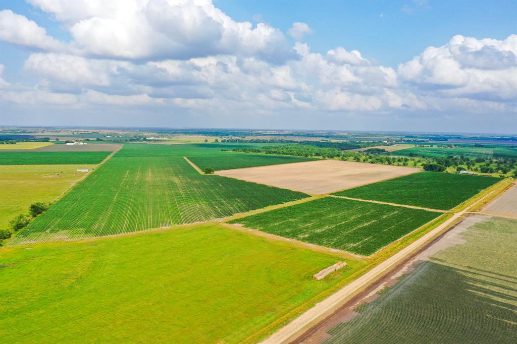 173-acre agricultural tract featuring approximately 70% productive cropland and 30% open pasture, ideal for farming or livestock. The property offers recreational opportunities with some dove and duck hunting. Access is provided via a 30-foot easement. A versatile piece of land suitable for agriculture, grazing, and outdoor enjoyment.