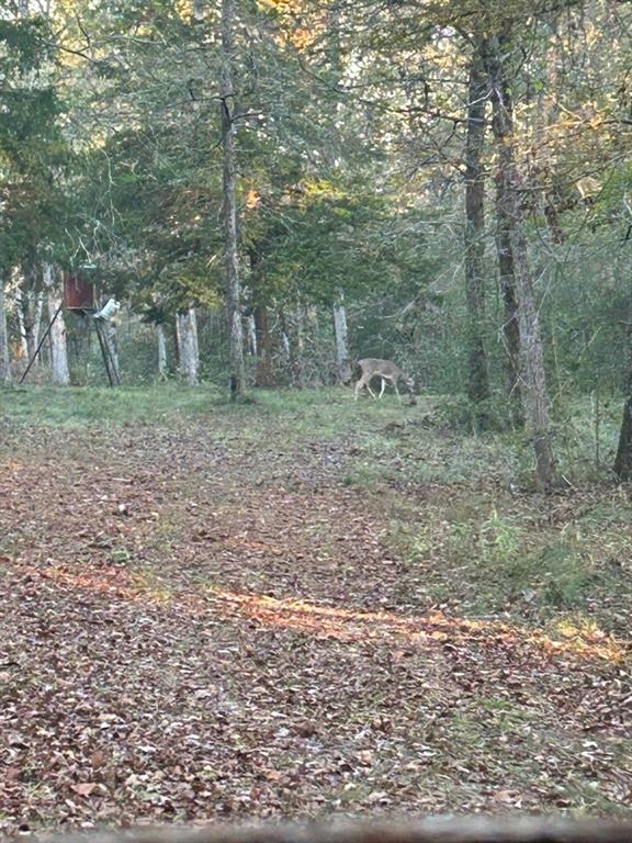 1857 Pr 1195 Midway, Texas Escape to your own private retreat at 1857 Private Rd 1185, Midway, TX 75850. This beautiful 12.7-acre property offers a peaceful, unrestricted country setting—perfect for a weekend getaway or full-time living. Nestled among partially wooded land with abundant wildlife, including deer, it's ideal for hunting and enjoying nature. The cozy 1-bedroom cabin features a full bath, full kitchen, central AC and heat, and a large covered front porch to relax and take in the surroundings. The property is fully equipped with a water well, septic system, propane tank, and storage shed for convenience. Enjoy privacy, seclusion, and endless possibilities just waiting for your personal touch.