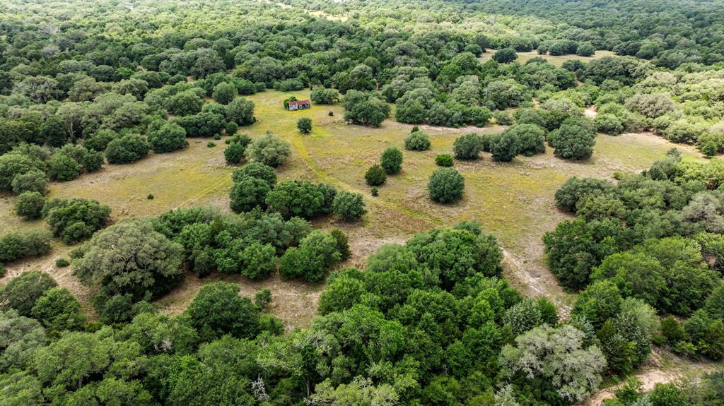 TBD CR 215 Weimar, Texas Looking to get away from it all? This 200-acre slice of untouched land is as private as it gets—tucked way back down a quiet road. It's heavily wooded with a great mix of oaks, pines, and cedar, and it’s full of natural beauty everywhere you look. Winding creeks run through the property, and there’s even a peaceful little pond tucked into the trees. The land is full of wildlife and has plenty of room to explore, hunt, build a cabin, or set up a weekend getaway. Whether you’re dreaming of a hunting camp, an off-grid hideout, or just a place to unplug and enjoy nature, this spot checks all the boxes.