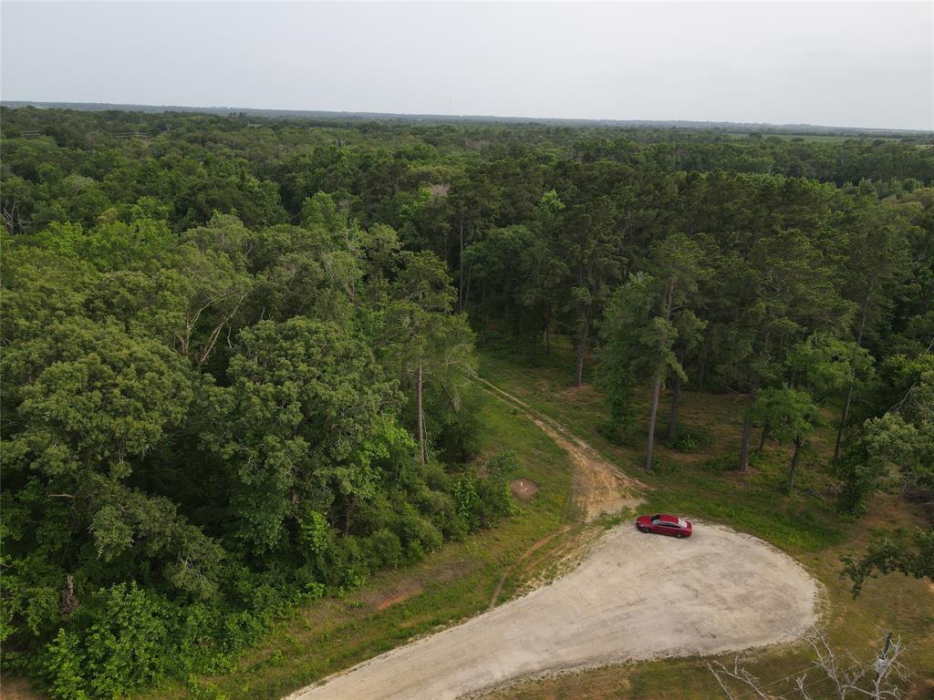 TBD Fm-977 Leona, Texas Charming acreage that is partially open and ready for your homesite! Easy access to 45! Rural water available and no maintenance fees. Make an appointment today!