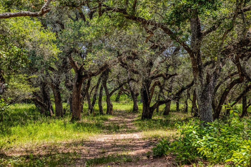 Escape to nature on this pristine 46-acre tract nestled off Sandy Creek Road in Garwood, Texas. Embrace the tranquility of dense woodlands and the promise of endless possibilities on this prime piece of land.

This heavily wooded recreational tract is a haven for outdoor enthusiasts and hunters alike, offering a sanctuary for wildlife and a canvas for your dream home. The property's serene ambiance and abundant natural beauty make it an ideal setting for a secluded retreat or future home.

Property Features:

•  46 acres of wilderness

•  Lush, dense woodlands offering privacy and seclusion

•  Abundant wildlife for hunting 

•  Multiple home sites

•  Ag exempt

 

 

Location:

•  15 minutes to Eagle Lake, TX

•  20 minutes to Columbus, TX

•  30 minutes to Wharton, TX

•  1 hour to Katy, TX

•  1.5 hours to Houston, TX

 

*Seize the opportunity to own this remarkable 46-acre tract and create your own private sanctuary in the heart of Garwood.