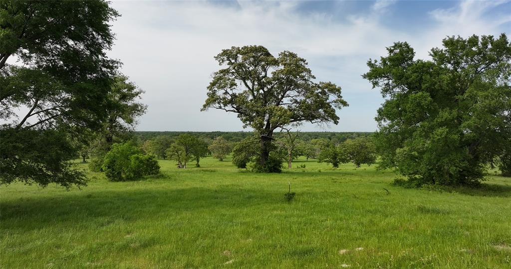 10149 Fm 1428 Midway, Texas This 600-acre ranch in Madison County offers an exceptional blend of natural beauty, productivity, and versatility. Rolling terrain and expansive pastureland create an ideal setting for cattle operations, while a live creek and mature hardwoods enhance the landscape and support abundant wildlife. The property includes a well-kept ranch house built in 2003, along with additional housing for guests or ranch hands. Multiple prime homesites provide excellent opportunities for custom residences or future development. Whether you’re expanding a working ranch, building a private family retreat, or seeking a recreational haven for hunting and outdoor activities, this land offers endless potential. Rarely does a ranch of this quality and scale become available—this is a legacy property that can be enjoyed for generations to come.