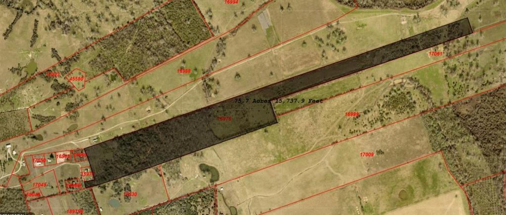 75.7 acres of recreational land offering privacy and versatility at the end of a dead-end lane. Ideal for hunting, camping, cattle grazing, or weekend getaways. Heavily wooded and accessed by easement. No well or septic currently on the property. A portion of the land lies in the flood plain. New survey will be needed. Great opportunity for those seeking a private, multi-use rural retreat.