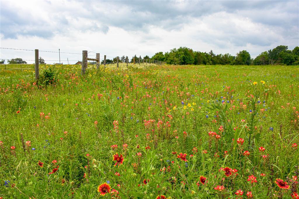 Beautiful 5.25 acres just minutes from Brenham with gorgeous rolling views and paved road frontage. Property is located on Old Chappell Hill Rd between Brenham and Chappell Hill. Peaceful location and convenient to get back in to Brenham for shopping, restaurants and year-round fun. Board entrance on south end and aluminum gate on north end. Property has seasonal creek along the west boundary but is not in the flood zone. Neighbor will grant easement to bring power to this tract. Property receiving ag valuation for bees. Need more land? The adjoining 8 acres with RV cover, electricity, water well and septic is also available for purchase and on market as MLS# 9116106. Both tracts are owned by different sellers but can be purchased together.