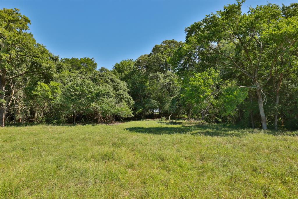 Discover the perfect blend of natural beauty, privacy, and potential in this approximately 42-acre tract nestled in the rolling hills of Whitehall, Texas. With high, gently rolling terrain and a crystal-clear, spring-fed creek meandering through the land, this property offers scenic views and prime building sites on both sides of the creek. Best of all—no floodplain, just peaceful, flowing water and pristine country air. Majestic hardwood trees dot the landscape, creating an idyllic setting for a dream home or family estate. Surrounded by large acreage tracts and across from the prestigious Polo Ranch on CR 305, this land offers a rare sense of insulation, privacy, and long-term value. Designed for those seeking space, serenity, and a true Texas ranch lifestyle to build a primary residence, second home, or investment in a legacy property, this tract offers an unparalleled opportunity to experience starry nights, peaceful surroundings, and clean country living at its finest.
