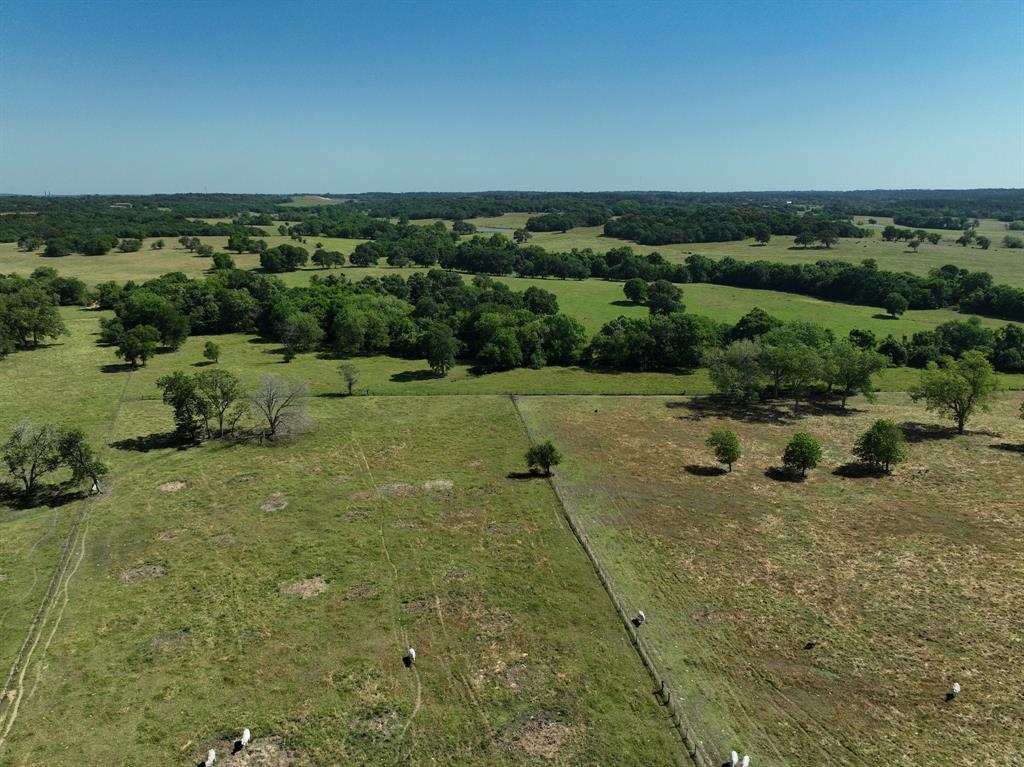 60 Acres of Peaceful Country Living in Sought-After Whitehall Area, property, nestled in the desirable Whitehall area. This picturesque tract is bordered by large acreage properties, offering privacy and a serene rural atmosphere.

The land features gently rolling terrain, expansive green pastures, and a scenic, tree-lined wet weather creek that adds charm and character to the landscape. Ideal for livestock, recreation, or building your dream homestead, this property provides the perfect setting for peaceful country living.

Bring the family, bring the animals, and make your escape to the tranquility of Whitehall.