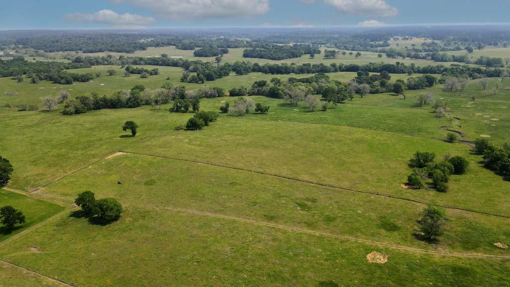 58+/-Acres of Scenic Pastureland with Creek & Trees – Ideal for Your Dream Home featuring a blend of open space and natural beauty with this 58 acre tract of lush green pastures, dotted with mature trees and featuring a peaceful, meandering creek. Whether you're looking to build your dream home, start a small ranch, or simply enjoy the tranquility of country living, this property offers unlimited potential.

Surrounded by large acreage tracts, you’ll enjoy privacy, abundant wildlife, and plenty of room for livestock, recreation, or agricultural pursuits. This is a rare opportunity to develop a private retreat in a serene and picturesque setting.