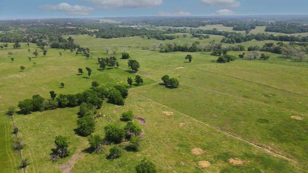 Blackhawk Ranch consist of 600 acres located in the rolling hills of Whitehall TX. With Approx 6.200 feet fronting CR 305 this property can be divided in 10 nice tracts ranging from 22 to 150 acres, with covenants designed to encourage clean country Farm & Ranch family estates plus maintain harmony and values in the area.

Located in the highly desirable Whitehall area, this exceptional tract offers an ideal setting just 30 minutes from Texas A&M and 45 minutes to The Woodlands. Situated on high, rolling terrain, the property boasts breathtaking 360-degree views of the scenic countryside. Enjoy the privacy and beauty of neighboring properties, with a game ranch to the north and a cattle ranch to the south.