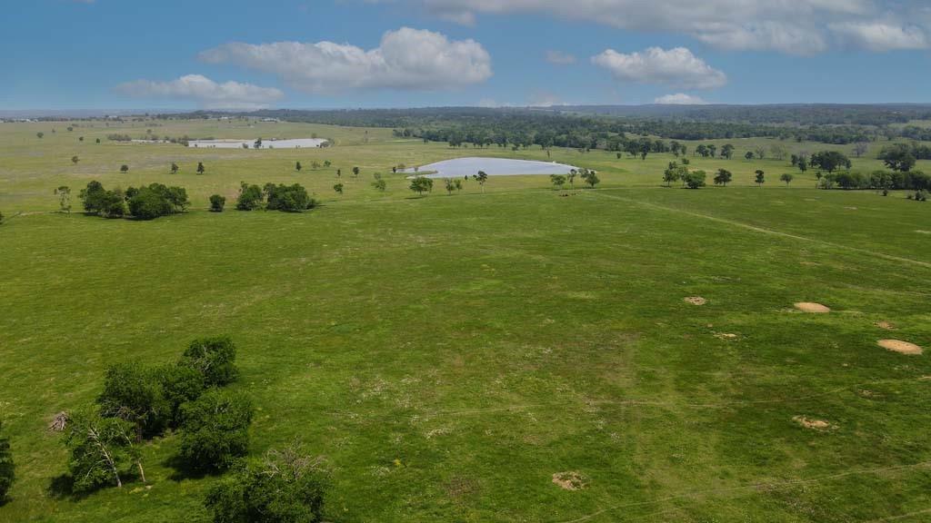 24 Acres of High Rolling Terrain in Whitehall, TX
Minutes from Texas A&M and The Woodlands

24 acres of picturesque, high rolling terrain located in the charming town of Whitehall. This exceptional property offers sweeping views of the surrounding countryside and overlooks the historic and quaint town below.

Surrounded by expansive ranches and peaceful landscapes, this land provides the perfect opportunity for a private estate, equestrian property, or weekend retreat. Conveniently situated just 30 minutes from Texas A&M University and 45 minutes from The Woodlands, you can enjoy tranquil rural living without sacrificing accessibility.

Don’t miss your chance to own a piece of Texas country charm in a truly unique setting.