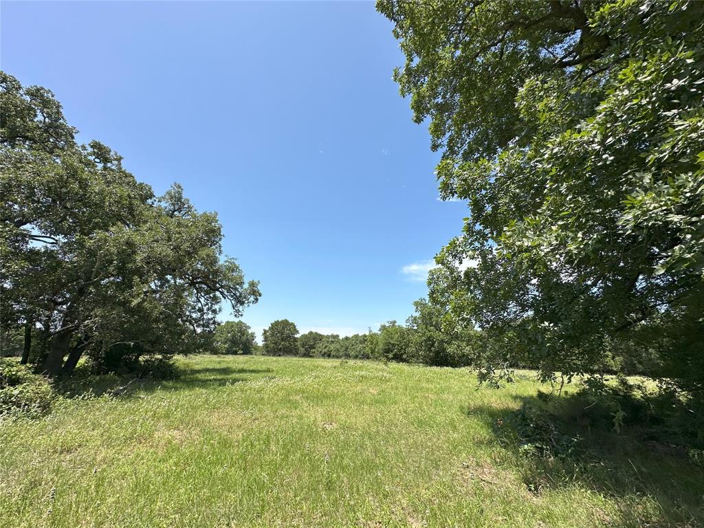 Welcome to an exceptional 347-acre ranch in Lee County, TX—an inspiring canvas ready for your vision. This stunning property features rolling terrain and a beautiful mix of native hardwoods, including mature pecan, hickory, and oak trees. Indian Camp Branch Creek meanders through the land, fed by natural springs, creating a serene and scenic setting. A well-sized stock tank adds to the ranch’s functionality for livestock or recreation. The varied topography offers multiple elevated homesites with panoramic views of the surrounding countryside. Open pastures provide ample grazing or hay production opportunities, while wooded areas offer privacy and ideal wildlife habitat. Whether you're envisioning a working ranch, weekend getaway, recreational retreat, or your dream homestead, this property offers limitless potential. Located just a short drive from Austin and Bryan-College Station, it’s a perfect blend of seclusion and accessibility. Ag exemption in place. Shown by appointment only.