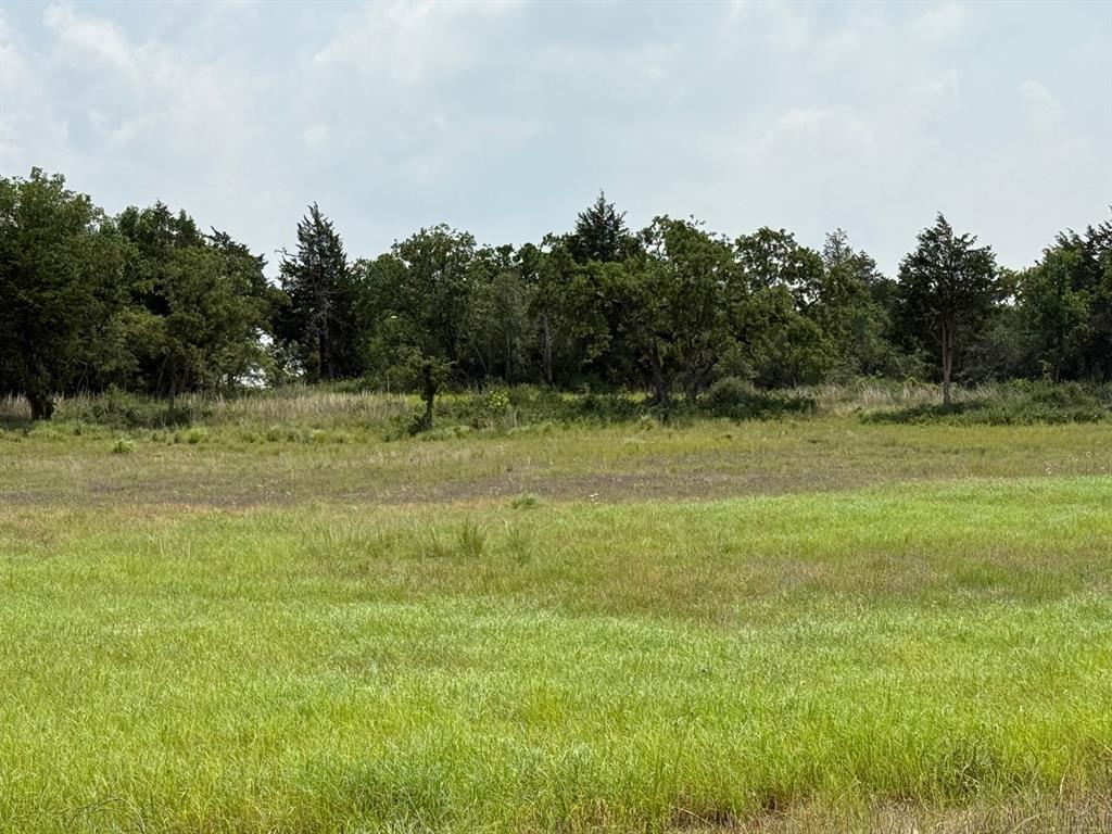 3803 PR 4100 Marquez, Texas Beautiful 3.01 acres in Horseshoe Lake Ranch. Property has blacktop roads, community water, and electricity on site. This is a gated community with some restrictions. The land is mostly pasture with a nice gentle roll to it.