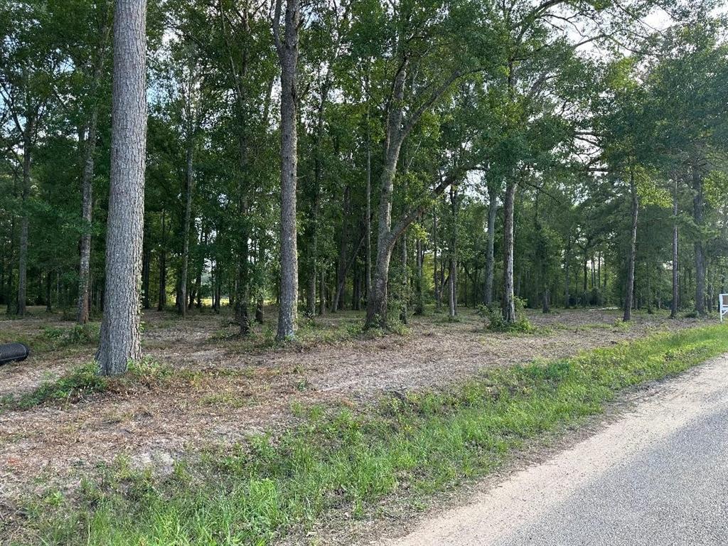 37+/- acres out of this tract to be sold.  Price reflects selling 37 acres.  Will consider dividing into two or possible three tracts.  Price per acre may differ depending on amount of acreage sold.  This is a high and dry property.  No flood zones.  Beautiful, quiet property with 2 ponds and lots of wildlife.  Property is last tract on dead end road, so no through traffic. Splendora ISD.  Densely wooded with marketable timber, with open areas.  Approximately 800 foot of road frontage.  No restrictions.  ELectricity available.  Use water well or connect to city water.  City water line currently stops down the street not far from property, but is able to be extended to property per Splendora water department.  Listing agent is property owner.