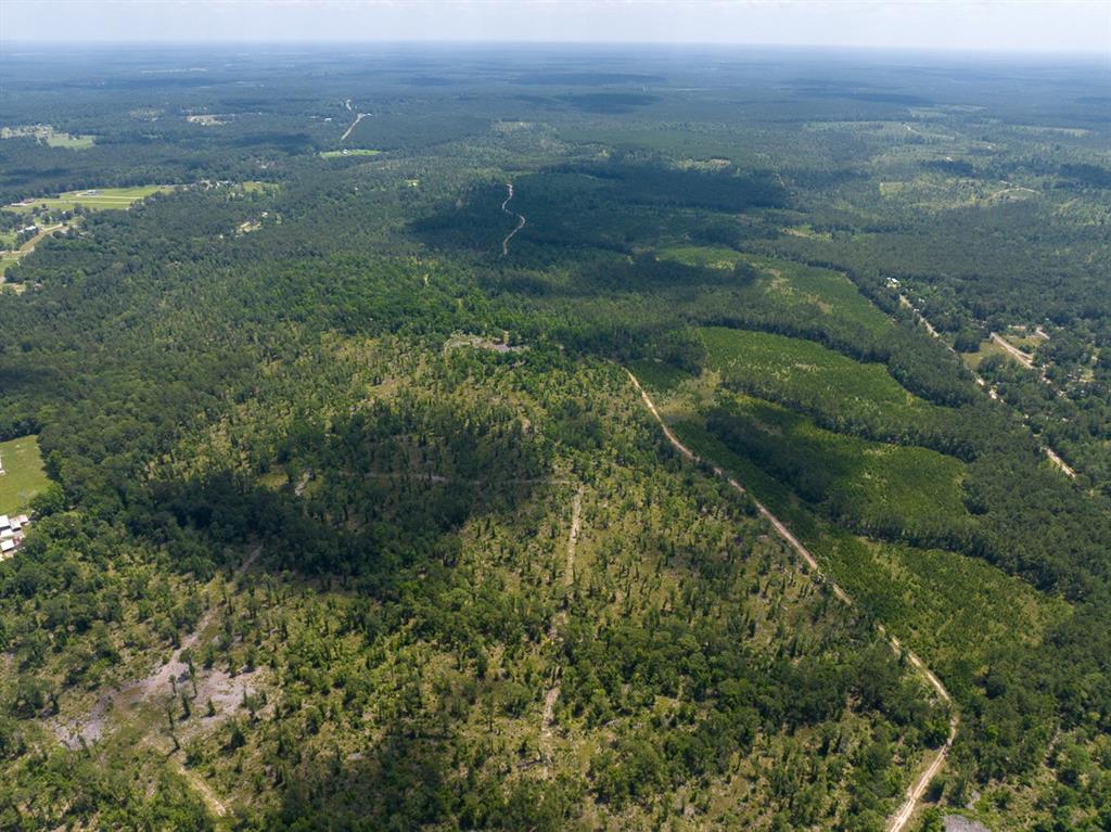 Introducing a premier land investment opportunity in East Texas: 1,800 acres of diverse and versatile terrain along FM 355/Chita Cemetery Road in Trinity County. 
Location: Situated along FM 355, with frontage on Chita Cemetery Road, providing multiple access points.
Topography: Rolling hills with elevations changes up to 100ft, featuring a mix of planted + natural pine and hardwood forests, live and seasonal creeks.
Recreational Opportunities: Excellent high fence candidate. Abundant wildlife including whitetail deer, turkey, hogs, ducks, and dove; suitable for hunting, hiking, and ATV trails.
Land Use Potential: Ideal for timber investment, ranching, residential development, or recreational use.
Soil Composition: Varied soils including sandy loam and clay loam, supporting diverse vegetation.
This property represents a rare opportunity to own a substantial tract of land in a sought-after region of Texas, offering both natural beauty and investment potential.