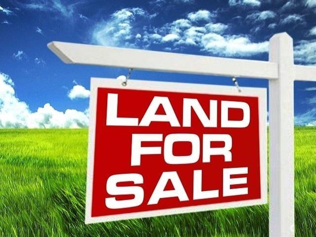 Number 1 for listing