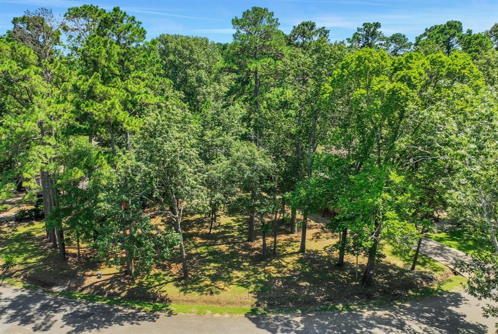 Number 1 for listing