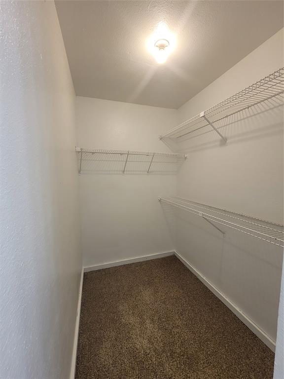 No image found