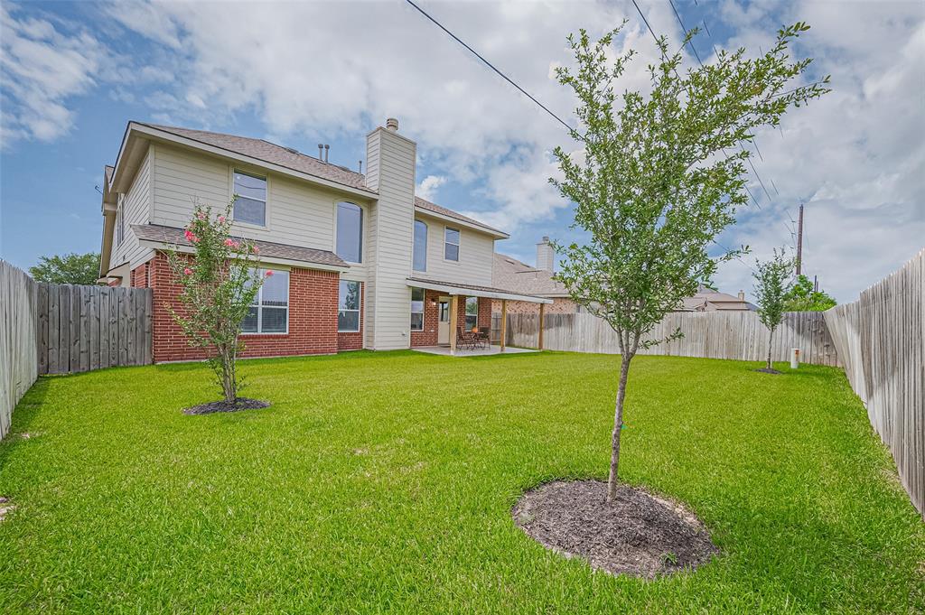 Step into a peaceful backyard retreat featuring a lush green lawn and three young trees that add charm and future shade.