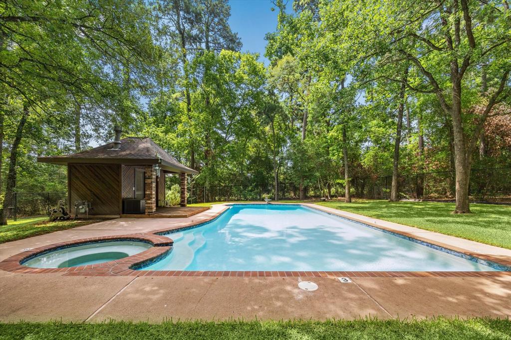 Olympic size swimming pool and hot tub! Pool room and outside restroom with a shower. 12190 Willowridge Cir