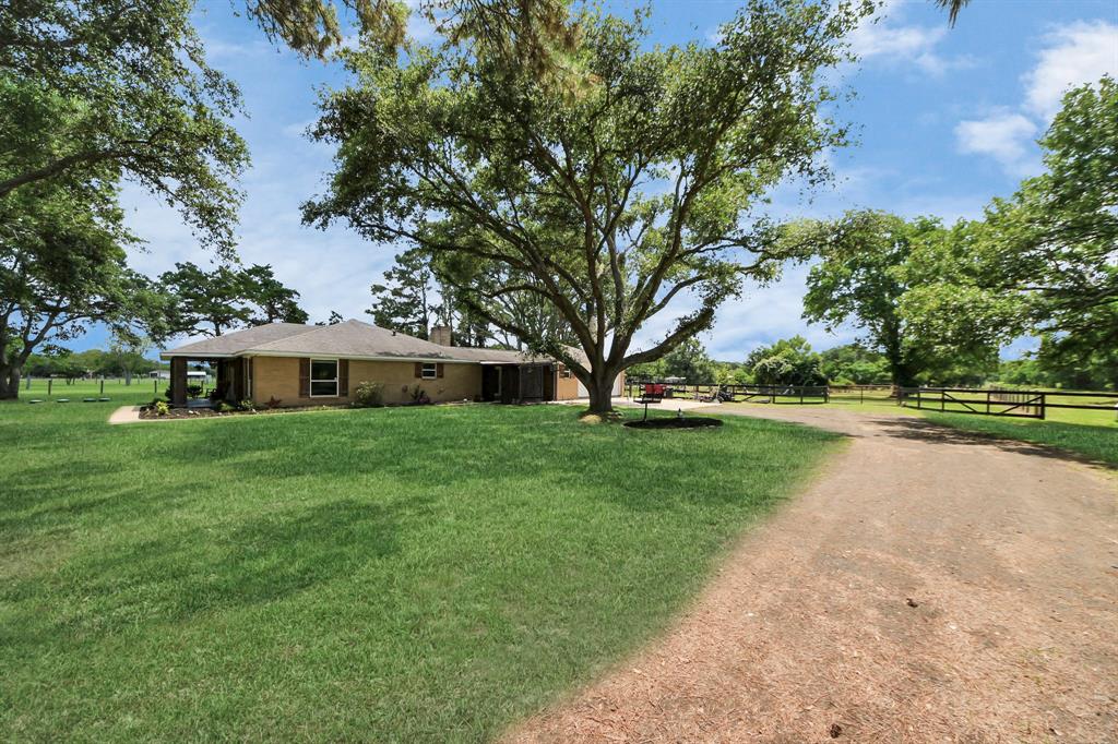 Charming tree swings add a playful, nostalgic touch to this inviting front yard.