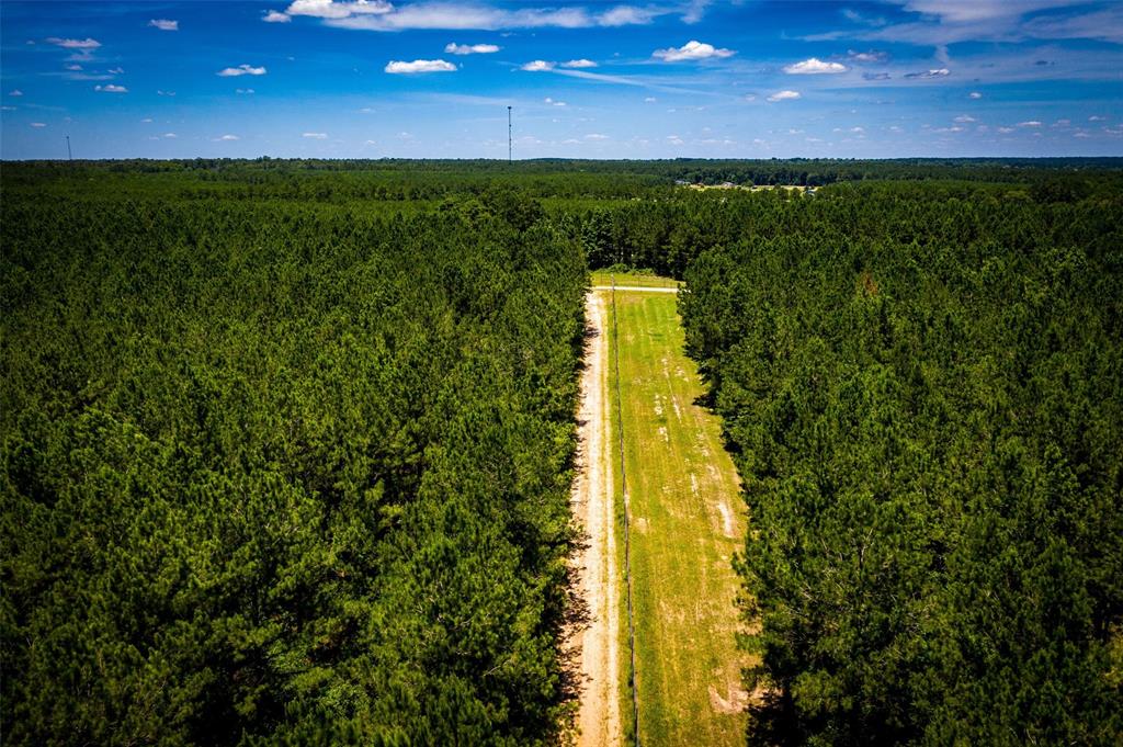 965 Acres U.S. 190, Huntsville, Texas 77340, ,Country Homes/acreage,For Sale,Acres U.S. 190,47437820