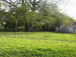 Houston Home at 3033 Dennis Houston , TX , 77004 For Sale Houston Home at 3033 Dennis Houston , TX , 77004 For Sale